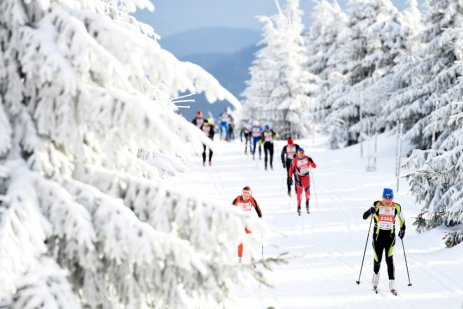 V Orlických horách panují nejlepší sněhové podmínky pro běžkování v Česku