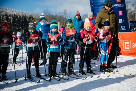 Change in the format of children's races: agility competitions will take place in the race facilities 